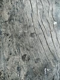 Full frame shot of weathered wood