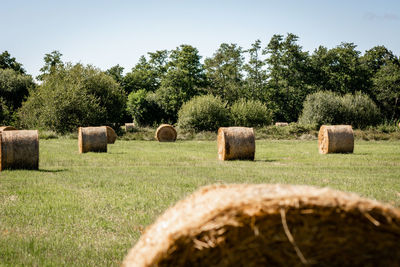 Hay bales on field against sky