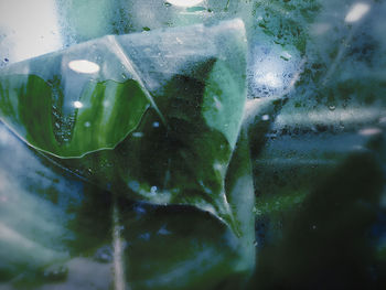 Close-up of wet glass window