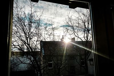 Bare trees in city against sky