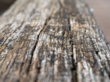 Close-up of wood