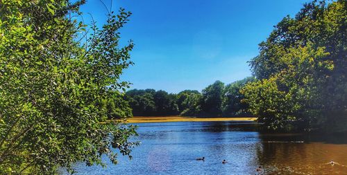 Scenic view of lake against blue sky