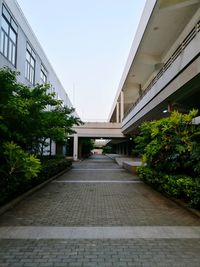 Walkway amidst plants against sky in city