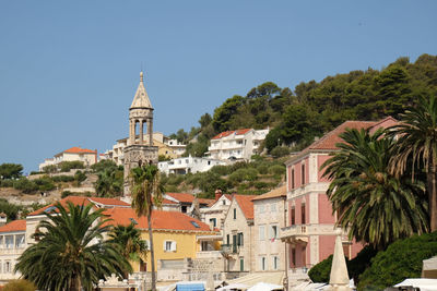 View of bell tower and palm trees against clear sky