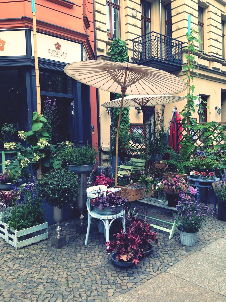 building exterior, architecture, built structure, potted plant, plant, window, house, growth, flower, residential building, residential structure, city, flower pot, chair, outdoors, day, building, front or back yard, no people, for sale