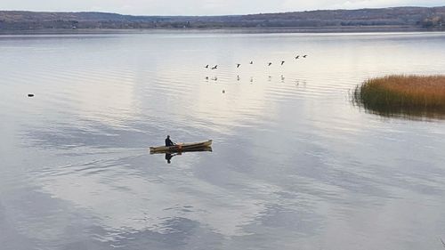 Swans swimming in lake against sky