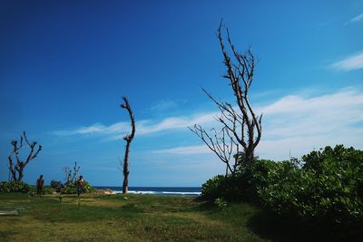 Scenic view of sea against blue sky