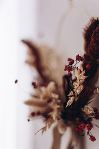 Close-up of flowering plant on table