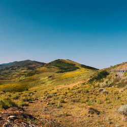 Scenic view of landscape against clear blue sky