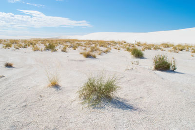 Scenic view of desert against sky