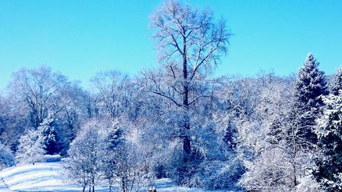 Scenic view of snow covered landscape