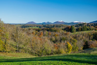 Scenic view of landscape against clear blue sky