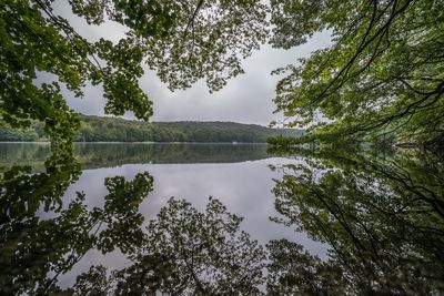 Reflection of trees in lake against sky