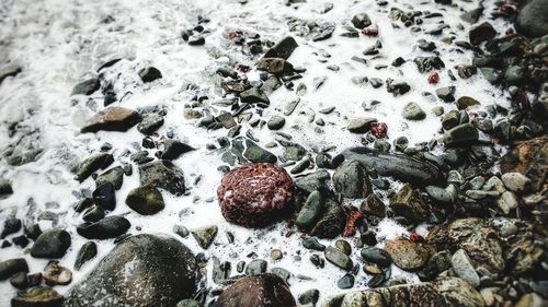 High angle view of pebbles in water