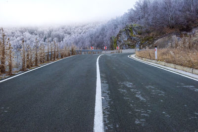 Empty road along trees and plants