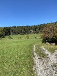 Trees on field against clear sky