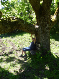 Man sitting on tree trunk