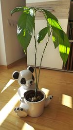 Close-up of potted plant on table at home