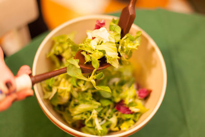 Close-up of hand holding salad in bowl