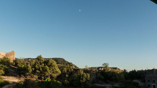 Trees on landscape against clear blue sky