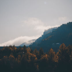 Scenic view of forest against sky during autumn