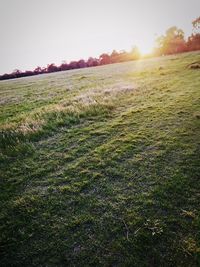 View of field against clear sky