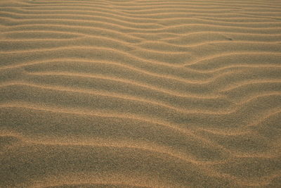 Full frame shot of sand dune