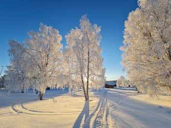 Snow covered land and trees against sky