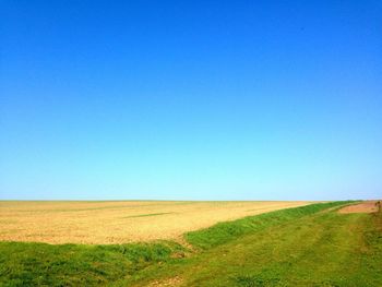 Scenic view of grassy field against blue sky