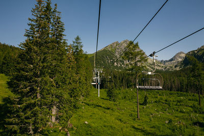 Overhead cable car against trees and plants