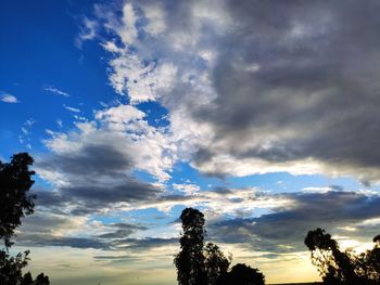 Low angle view of silhouette trees against sky