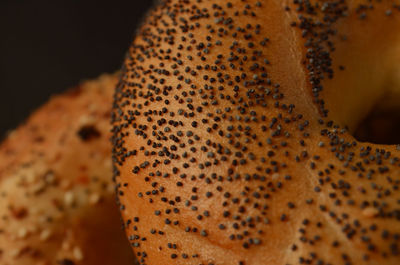 Extreme close up of leaf