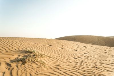 Sand dunes in desert against clear sky