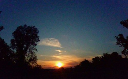 Silhouette of trees at sunset