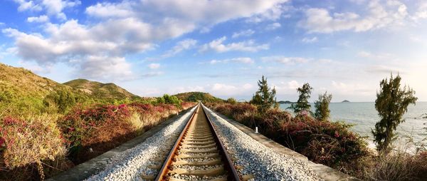 Railroad tracks amidst trees against sky