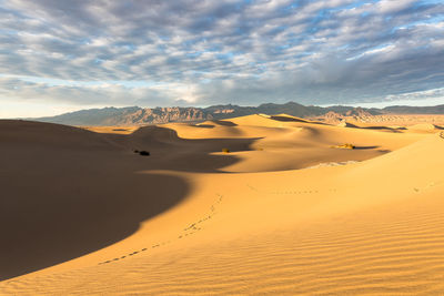 Scenic view of desert against sky