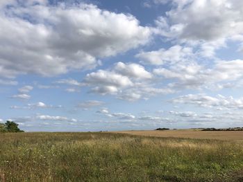 Scenic view of field against sky