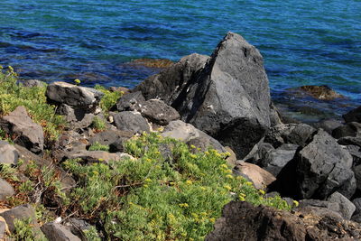 High angle view of rocks on beach