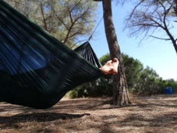 Low section of woman in hammock against trees