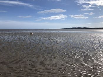 Scenic view of beach against sky