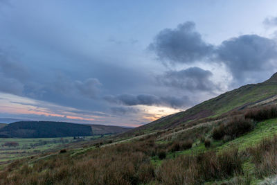 Scenic view of landscape against sky