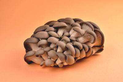 Close-up of bread on table against orange background