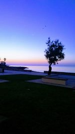 Silhouette tree by sea against clear sky during sunset