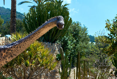 Lizard on tree by plants against sky