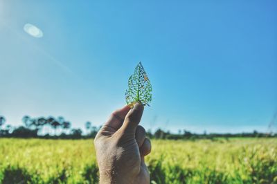 Close-up of hand holding plant on field against clear blue sky