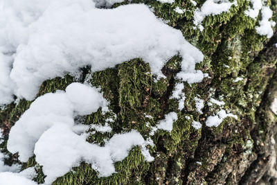 Close-up of snow