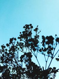 Low angle view of silhouette tree against clear blue sky