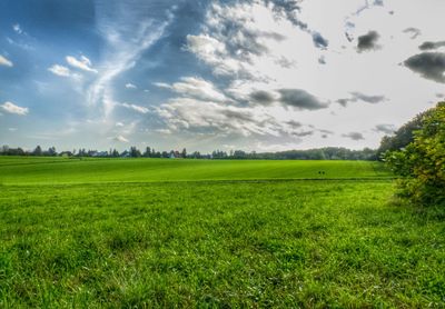 Scenic view of grassy field against sky