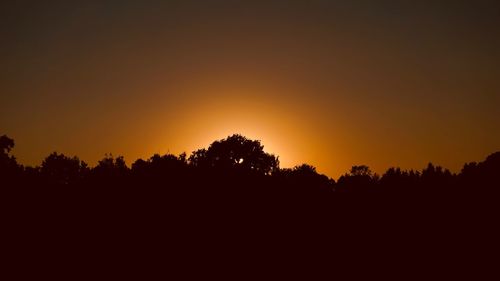Silhouette trees against sky during sunset