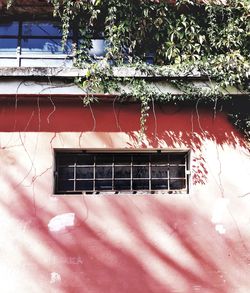 Close-up of window of building